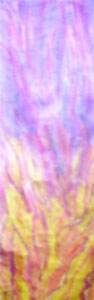 Sh 5004.jpg